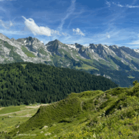 How To Write When You Can’t: Try Shadow Writing