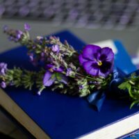 The Phone Call: Writers Beware!