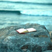 My Transformation Through TAF: A Journey From Amateur to Professional Writer